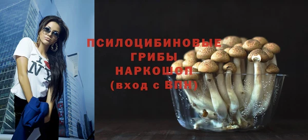 молекула духа Новодвинск
