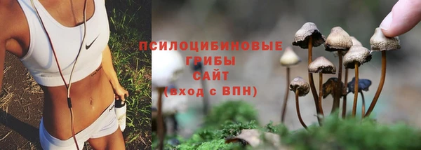мяу мяу мука Алапаевск