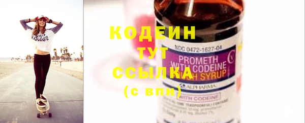 стаф Новозыбков