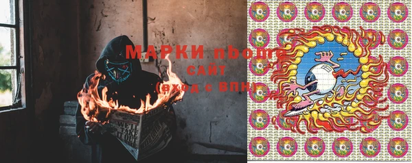 стаф Новозыбков