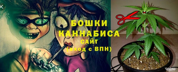 молекула духа Новодвинск