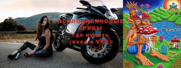 стаф Новозыбков