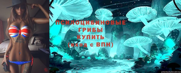 стаф Новозыбков