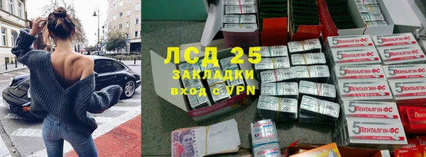 стаф Новозыбков