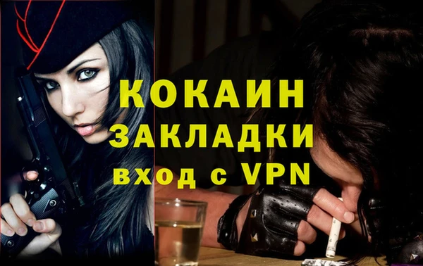стаф Новозыбков