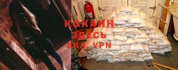 стаф Новозыбков