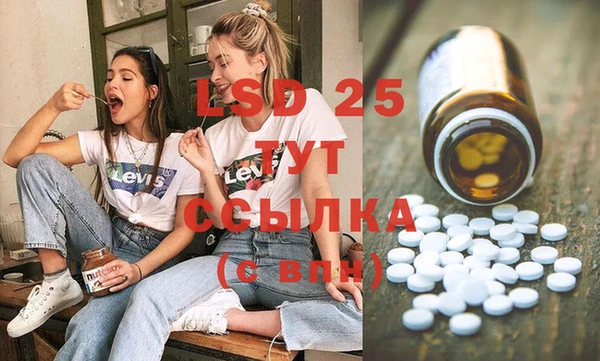молекула духа Новодвинск