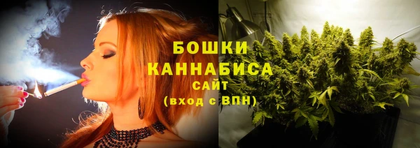 молекула духа Новодвинск