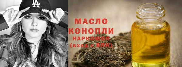 молекула духа Новодвинск