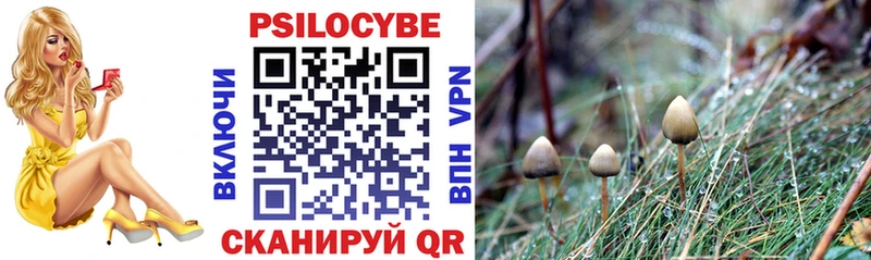 даркнет сайт Щёлкино Галлюциногенные грибы Psilocybe